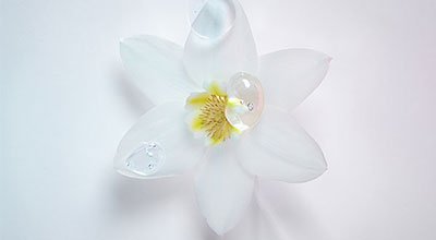blond absolu produkte